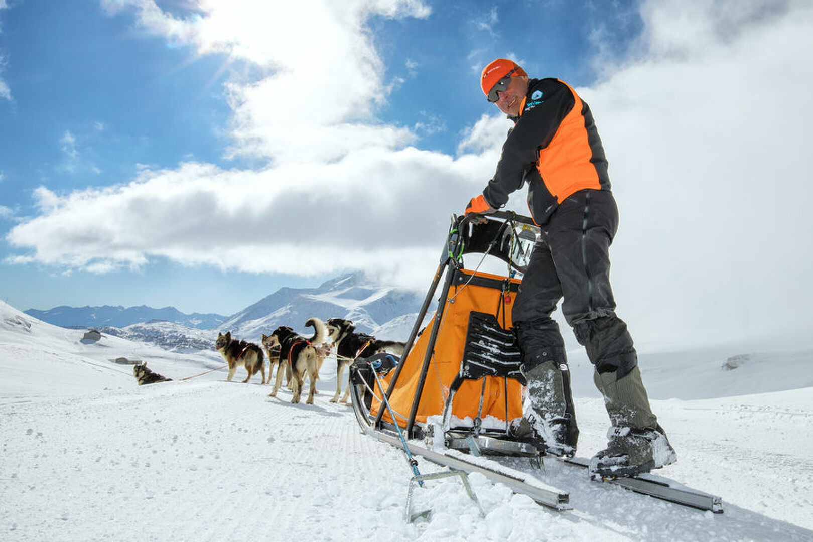 Traîneaux à chiens